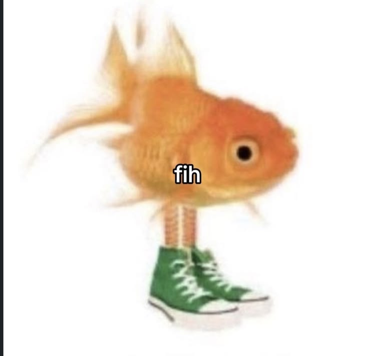 Meme 8